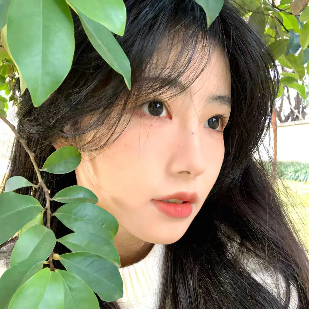 求子方程式