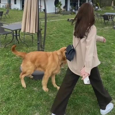 天下人家